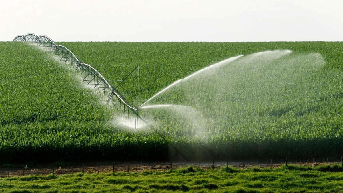 Forbes Mulher Agro: O Brasil Já Faz Agricultura Regenerativa. Só Não Sabe Disso