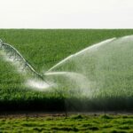Forbes Mulher Agro: O Brasil Já Faz Agricultura Regenerativa. Só Não Sabe Disso