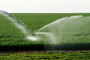 Forbes Mulher Agro: O Brasil Já Faz Agricultura Regenerativa. Só Não Sabe Disso