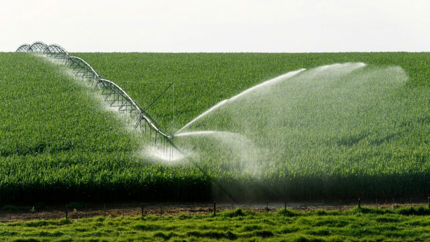 Forbes Mulher Agro: O Brasil Já Faz Agricultura Regenerativa. Só Não Sabe Disso