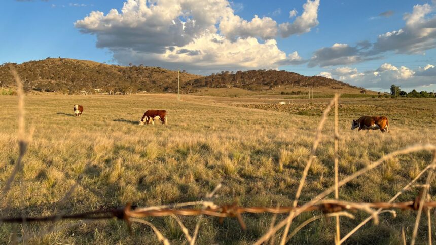 Austrália Emite Alerta para El Niño Que Pode Ser o Mais Intenso em Sete Décadas