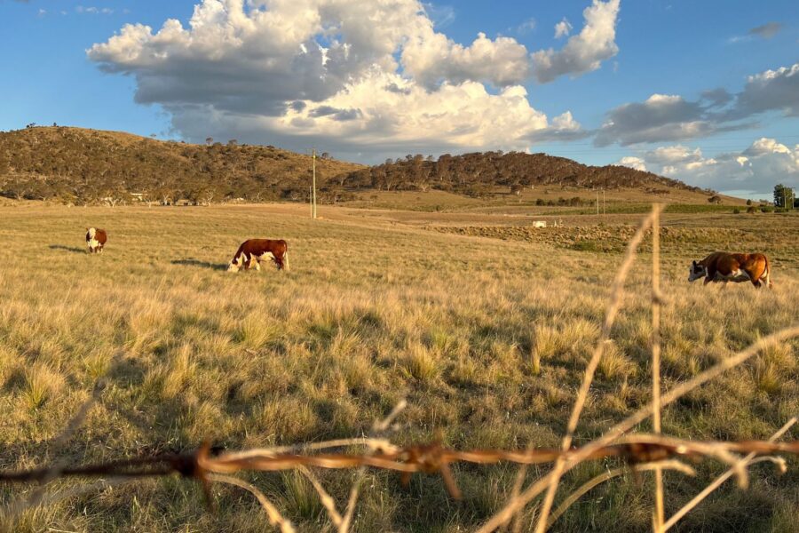 Austrália Emite Alerta para El Niño Que Pode Ser o Mais Intenso em Sete Décadas