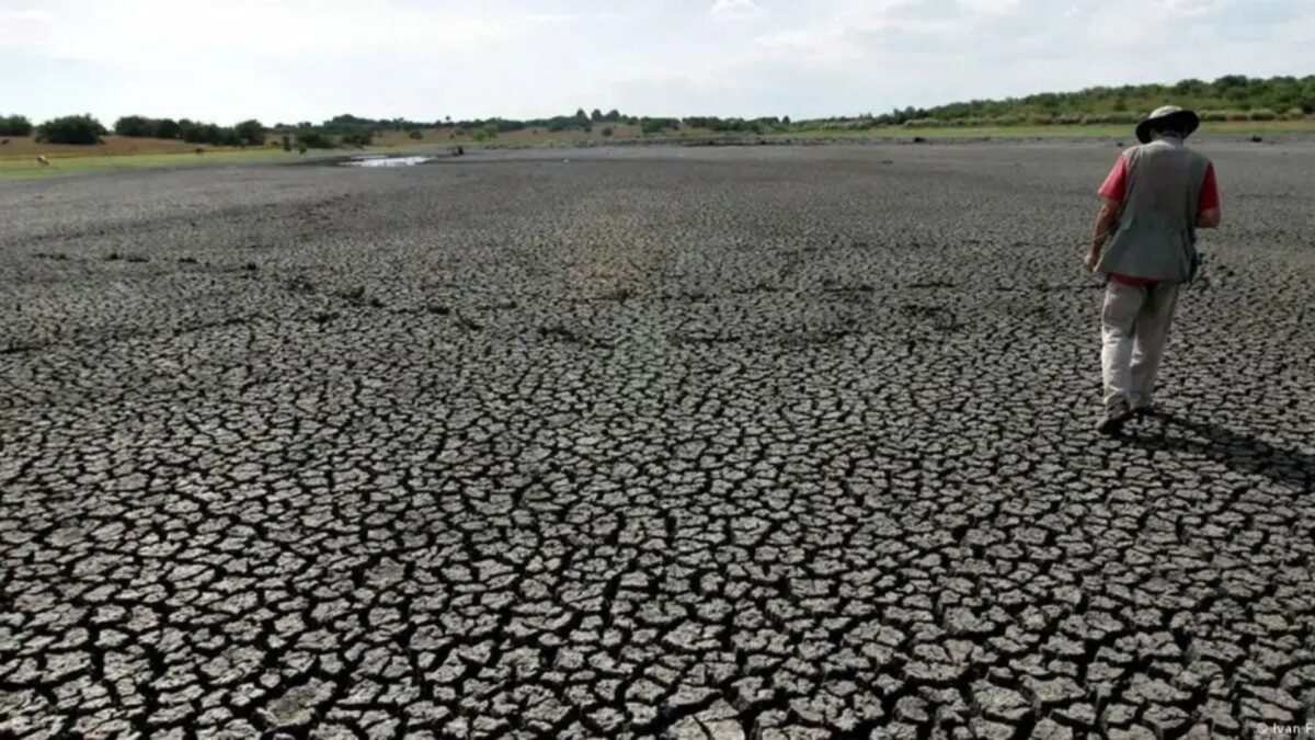 FAO e PMA Pedem Doação de US$ 202 Milhões para Proteger 22 Países do Fenômeno El Niño