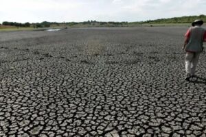 FAO e PMA Pedem Doação de Us$ 202 Milhões para Proteger 22 Países do Fenômeno El Niño