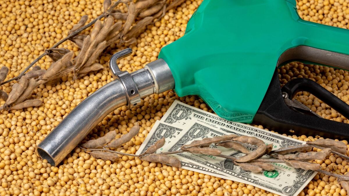A Nova Virada da Soja: Biocombustível Assume o Papel Que Já Foi da China