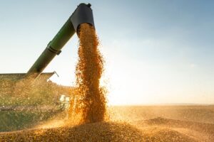 Anec Eleva Projeção de Exportação de Soja do Brasil para 15,31 Milhões de Toneladas em Junho
