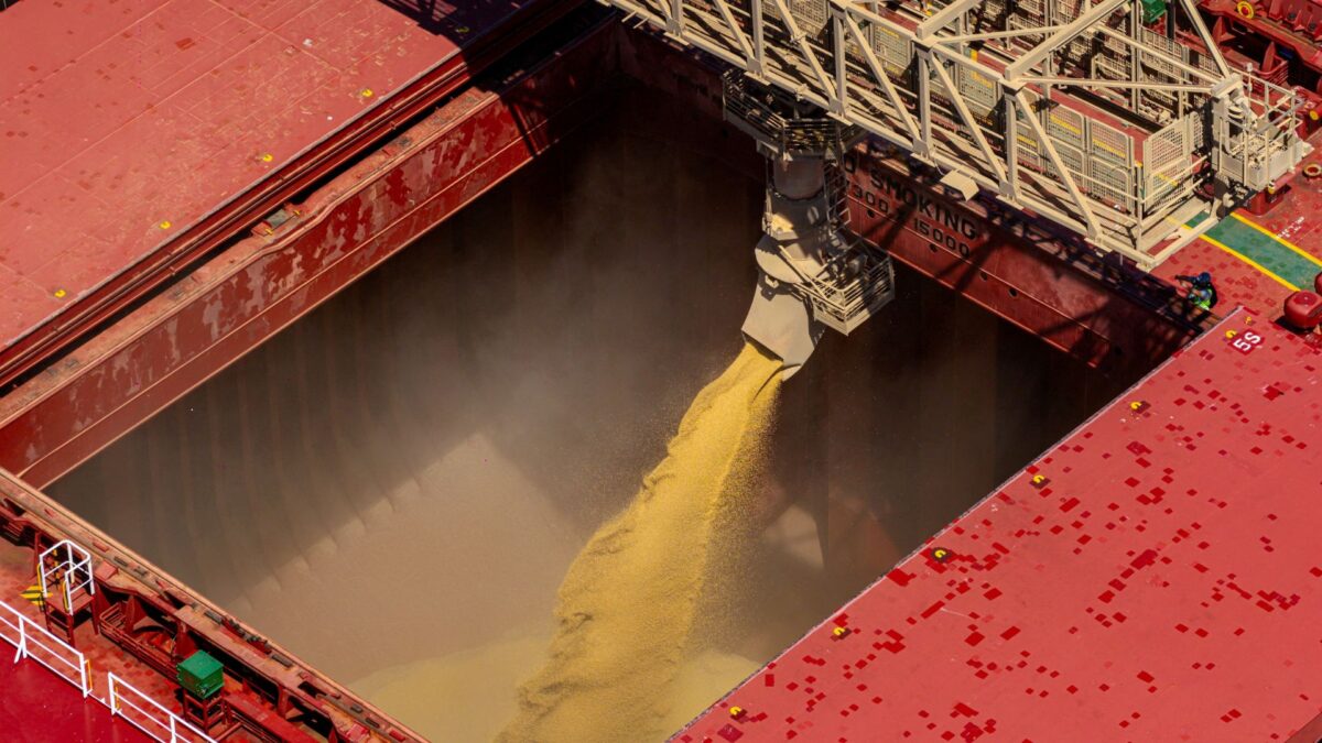 Área de Soja no Brasil Crescerá 0,9% em 2026/27 e Registrará o Menor Avanço em 20 Anos