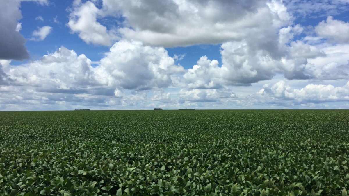SLC e Bom Futuro Disputam Compra de Terras do Grupo Radar por R$ 1,85 Bilhão