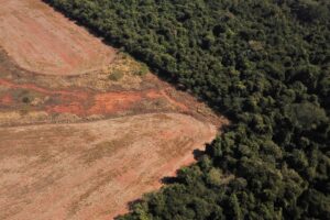 Slc Agrícola Compra Propriedades do Grupo Radar no Mato Grosso por R$ 1,85 Bilhão