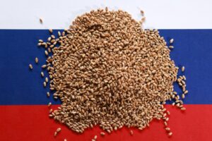 Safra de Trigo da Rússia é Projetada em 91,2 Milhões de Toneladas