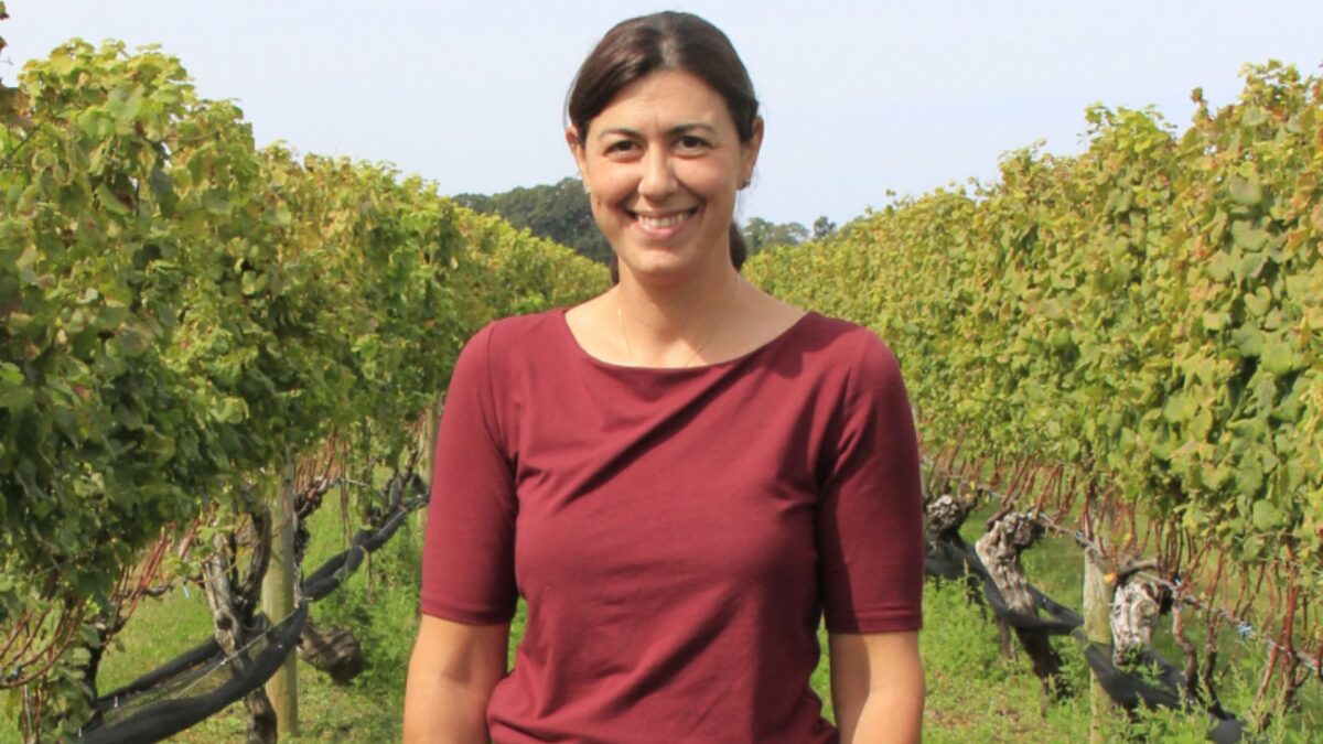 Enóloga Americana Refina o Legado dos Vinhos de Long Island