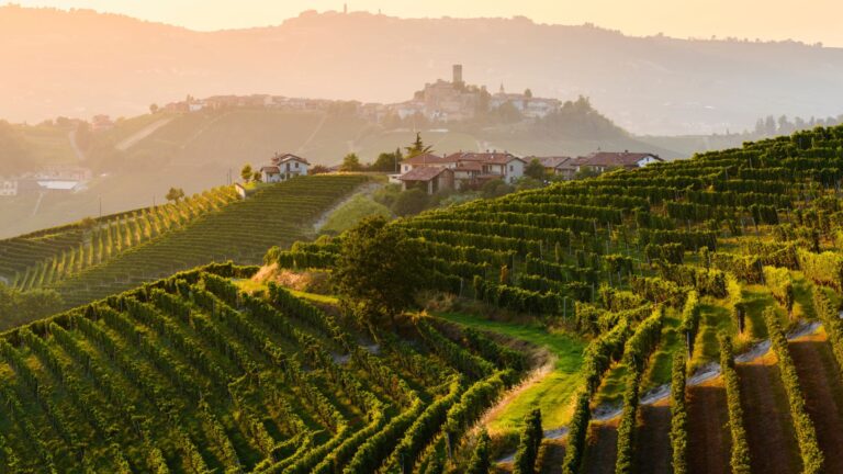 O Novo Luxo do Vinho Italiano: por Que o Valor Vai Além da Garrafa