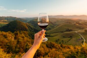 O Novo Luxo do Vinho Italiano: por Que o Valor Vai Além da Garrafa