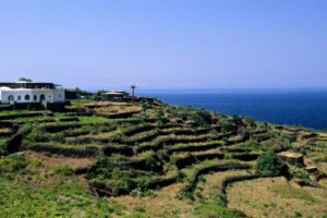 Denominações de Origem Pouco Conhecidas: os Vinhos Italianos Que Valem a Descoberta