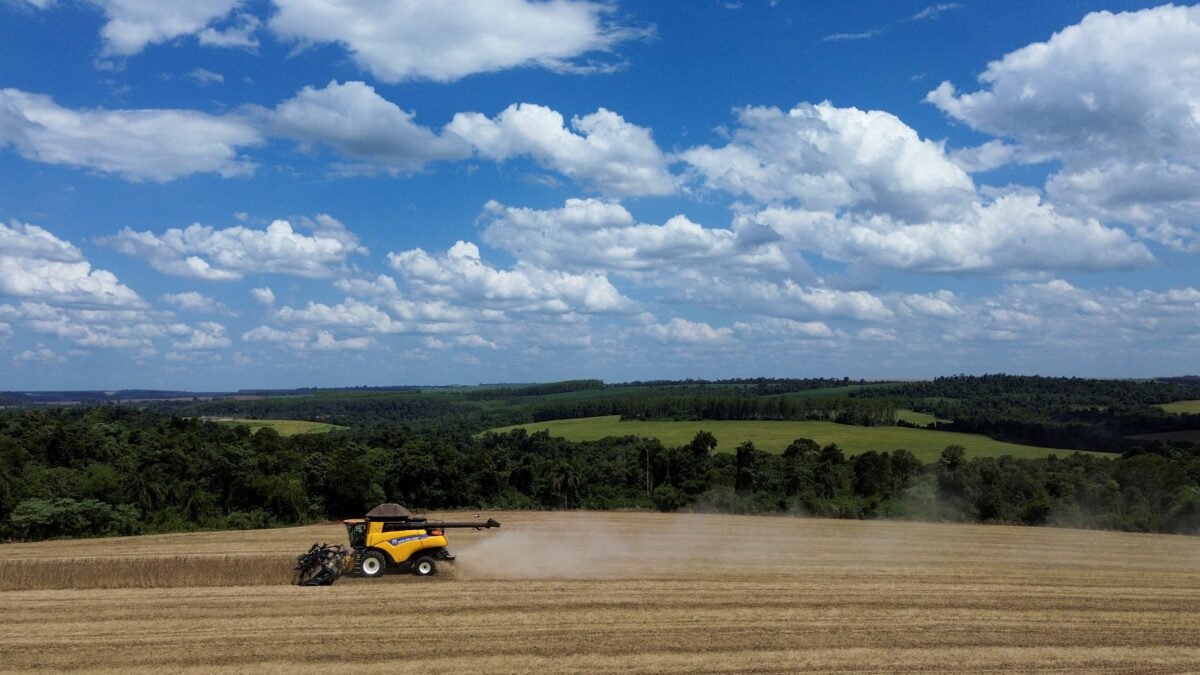 Produção de Soja do Brasil Pode Crescer Menos de 1% em 26/27 em Meio a El Niño, Prevê Safras