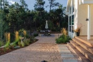 Relatório elaborado com dezenas de milhares de projetos revela um aumento de 23% na busca por plantas nativas e adaptadas ao clima.
