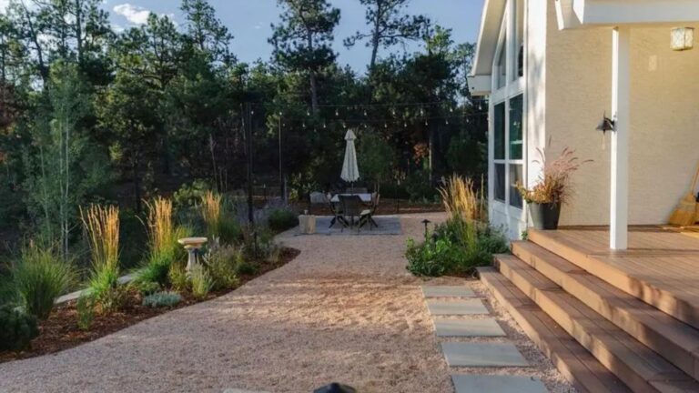 Relatório elaborado com dezenas de milhares de projetos revela um aumento de 23% na busca por plantas nativas e adaptadas ao clima.