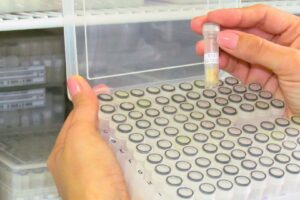 Embrapa Abrigará Primeiro Centro Brasileiro para Depósito de Microrganismos Patenteáveis