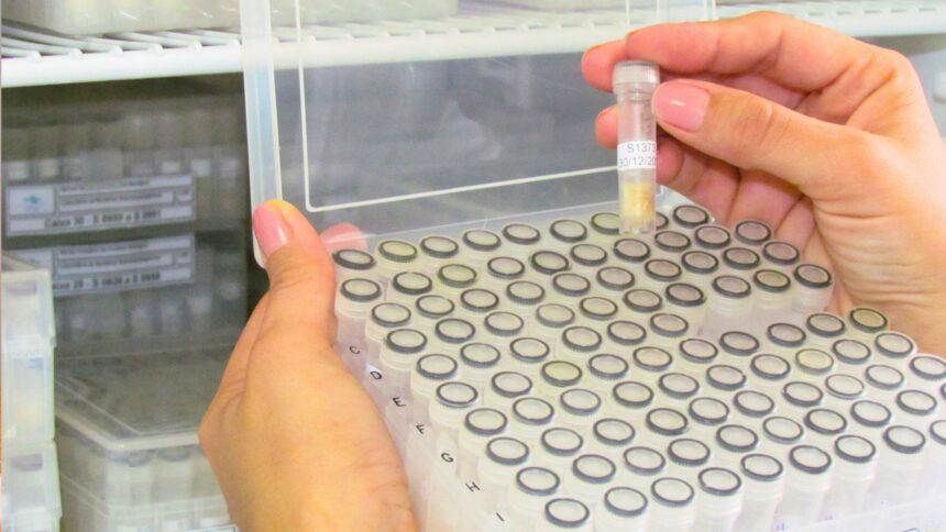 Embrapa Abrigará Primeiro Centro Brasileiro para Depósito de Microrganismos Patenteáveis