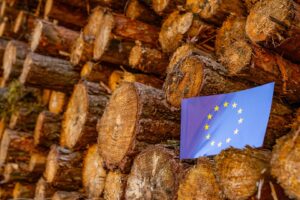 UE Revisa Lei Antidesmatamento, Mas Mantém Pressão sobre Exportações do Agro