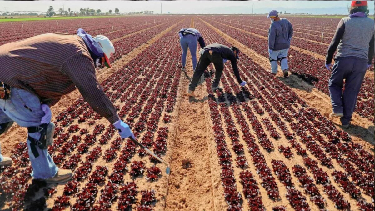Por Que a Anterra Aposta em Tecnologias Comprovadas para Transformar o Agro