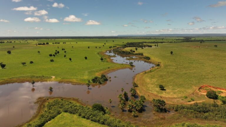 Âmbar Energia Amplia Produção de Biometano; Veja Destaques do Agroround