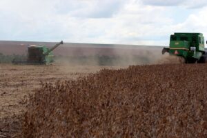 Trabalhadores colhem soja em uma fazenda na cidade de Primavera do Leste, no estado do Mato Grosso