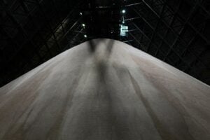 StoneX Eleva Estimativa de Déficit Global de Açúcar para 1,7 Mi de Toneladas em 2026/27