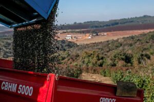 Colheita de Café no Brasil Atinge 64% da Safra com Atraso ante Ciclo Anterior