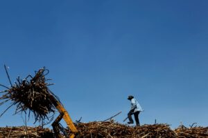 Importações de Açúcar Mexicano Pelos Eua Devem Dar Salto para 1,15 Milhão de Toneladas na Safra 2026/27