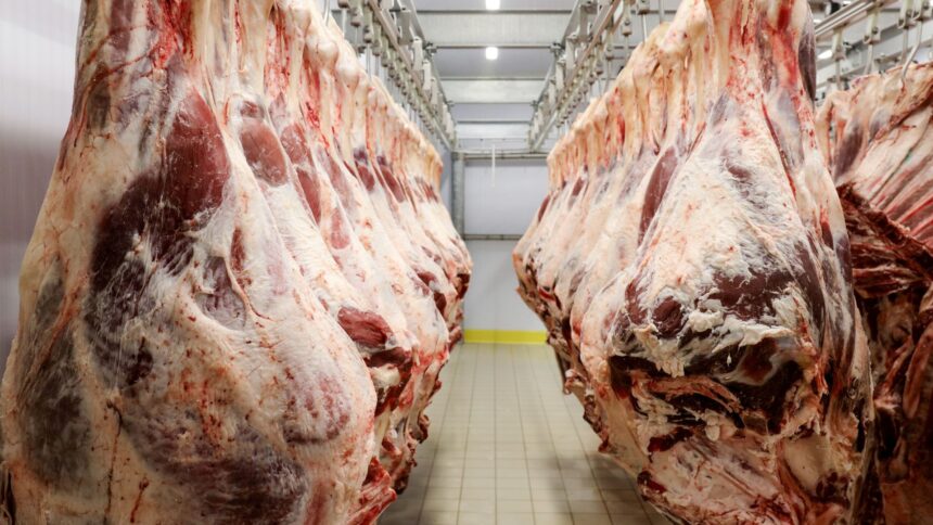Exportações de Carne Bovina Atingem Recorde com US$ 9,9 Bilhões no 1º Semestre