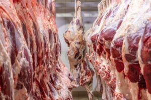 Usda Reduz Vendas de Carne Bovina para Exportação no Fim de Junho