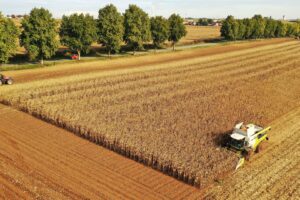 União Europeia Reduz Estimativa de Colheita e Sinaliza Novas Revisões por Causa do Calor