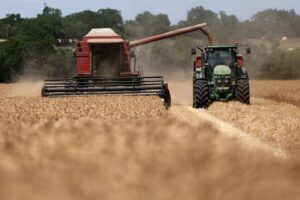 Safra Francesa de Trigo Soft Projeta Queda de 4% e Acende Alerta no Mercado de Grãos em 2026