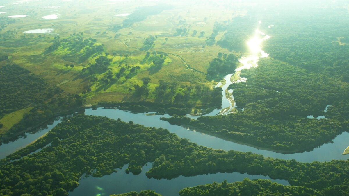Forbes Mulher Agro: A Tecnologia Já Traduziu o Pantanal. Falta o Brasil Aprender a Ler