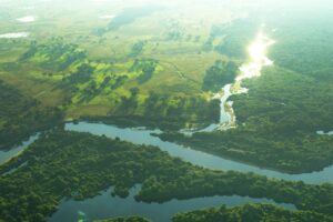 Forbes Mulher Agro: A Tecnologia Já Traduziu o Pantanal. Falta o Brasil Aprender a Ler