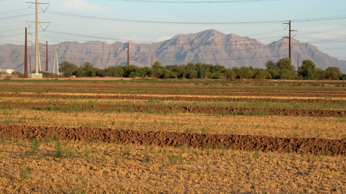 Crise Hídrica no Oeste dos EUA Coloca Agricultura em Conflito com Indústrias e Cidades
