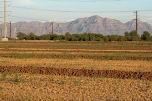 Crise Hídrica no Oeste dos EUA Coloca Agricultura em Conflito com Indústrias e Cidades