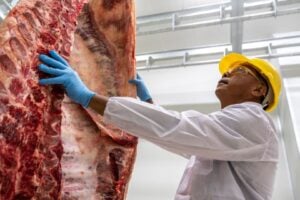 Coreia do Sul Enviará Missão Sanitária ao Brasil para Liberar Mercado a Frigoríficos