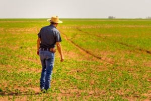 Inadimplência No Agro Atinge 8,8% E Bate Recorde Da Série