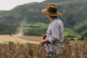 Agro Acumula R$ 256 Bilhões Em Dívidas E Crise Ainda Deve Persistir