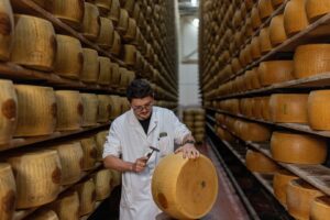 Calor Extremo na Itália Ameaça Indústria do Queijo Parmigiano Reggiano