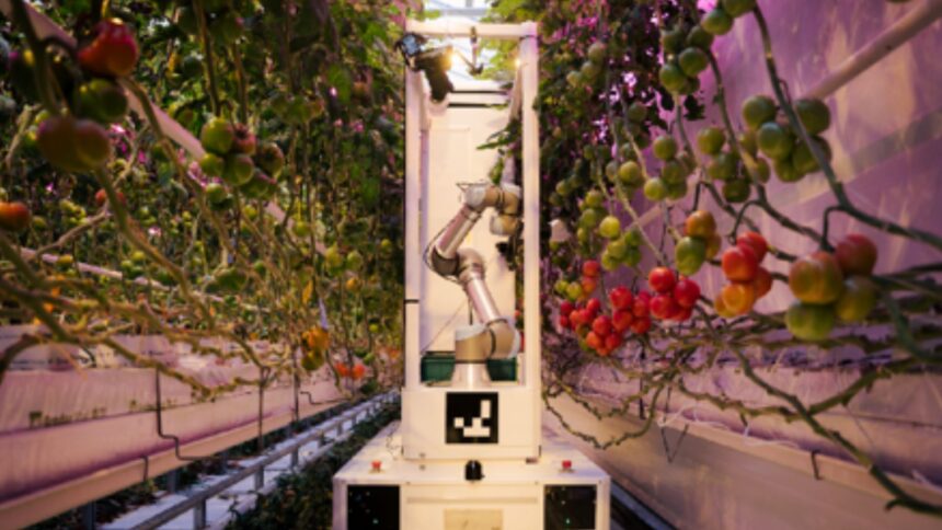 Inteligência Artificial Física Avança no Agro com Mercado de US$ 200 Bilhões até 2030