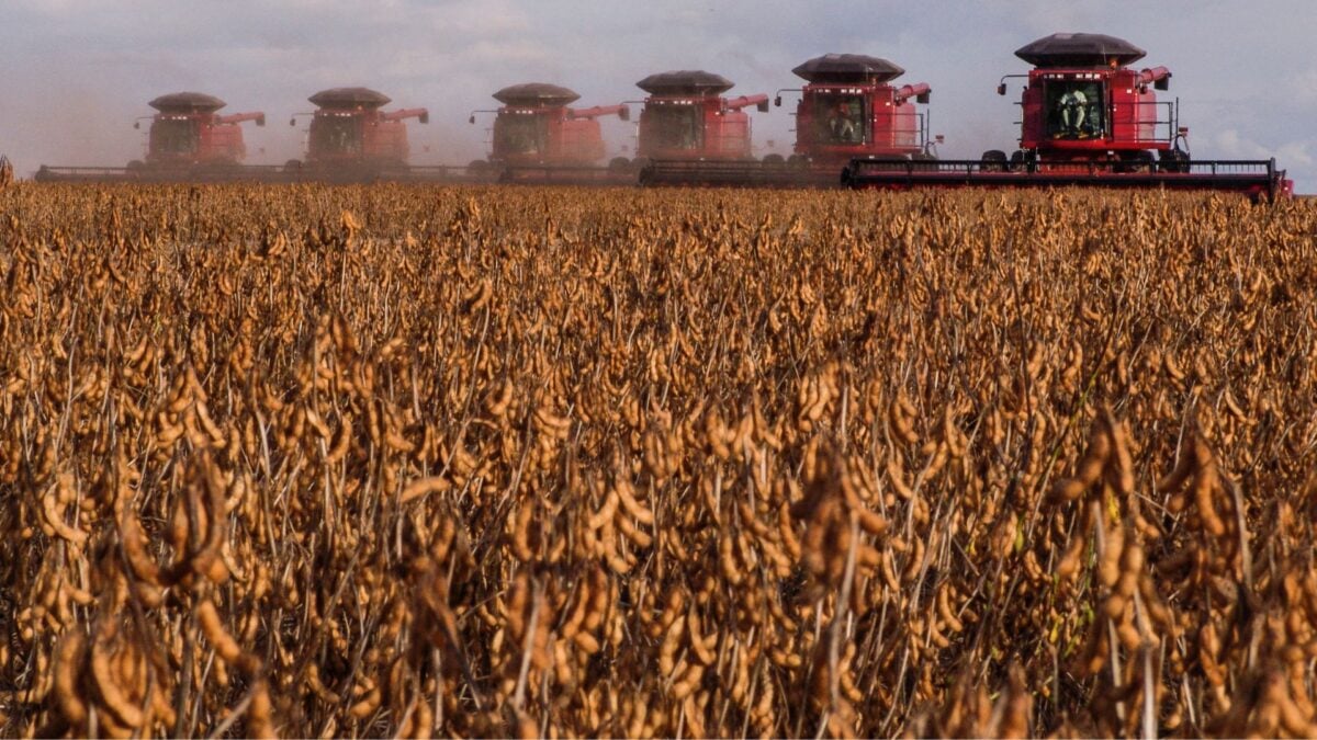 Como o Agro Brasileiro se Tornou uma Potência Mundial em 166 Anos