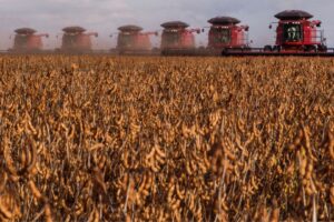 Como o Agro Brasileiro se Tornou uma Potência Mundial em 166 Anos