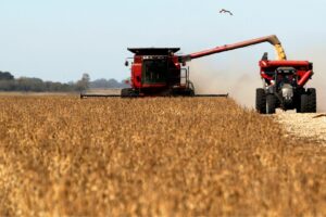 Produtores da Argentina Retêm Soja e Travam Entrada de Dólares no País