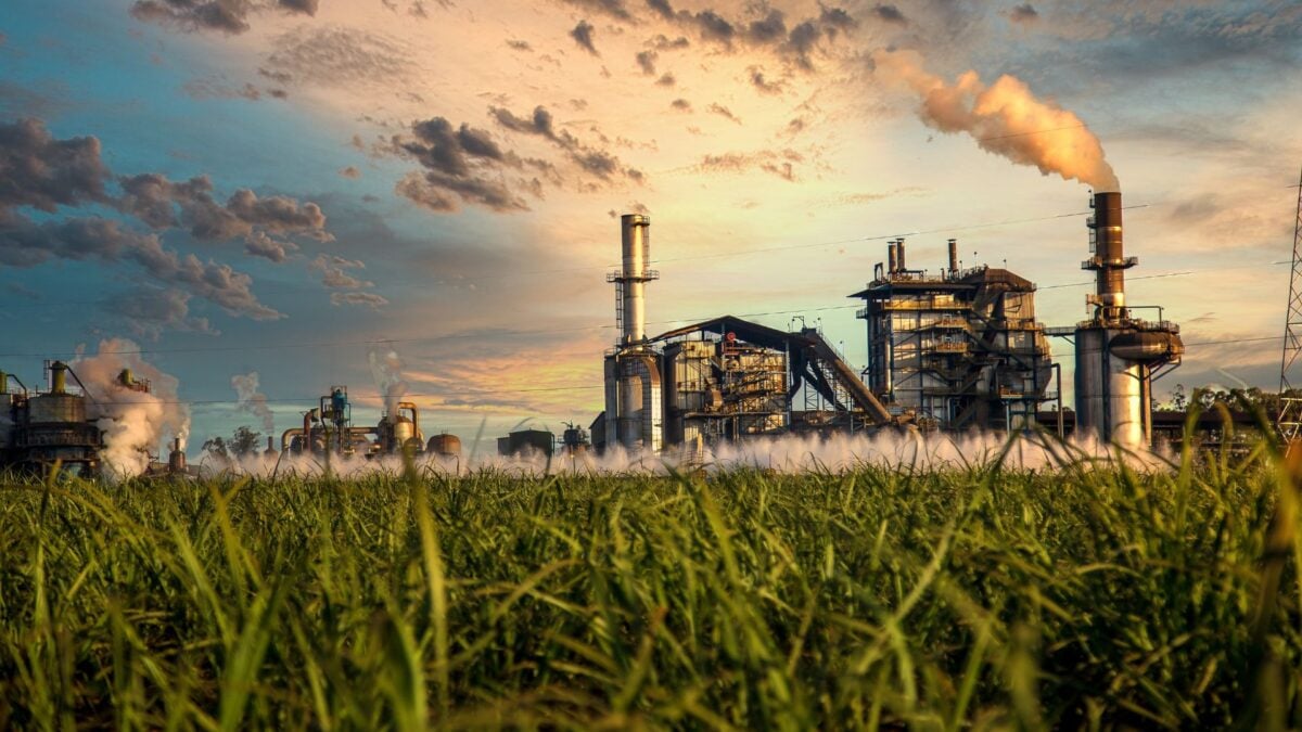 Forbes Mulher Agro: A Próxima Revolução das Usinas de Cana Não Será Apenas Tecnológica. Será Intelectual