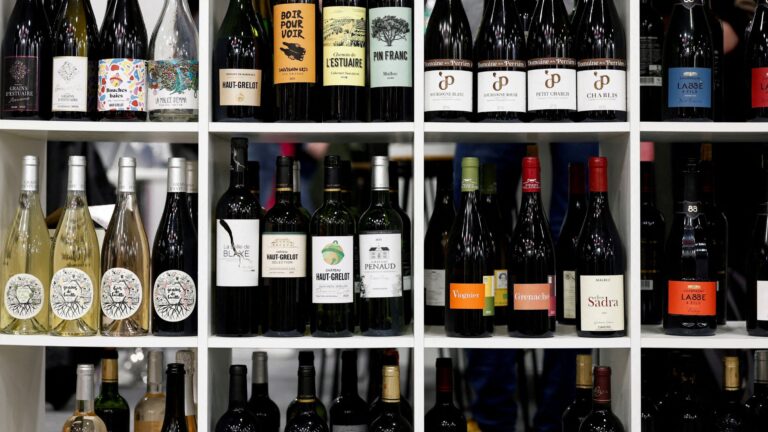 Calor Recorde e Seca Ameaçam Safra de Vinho nas Principais Regiões da França