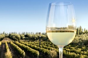 O Boom dos Vinhos Brancos Impulsiona as Exportações Argentinas no Mercado Global