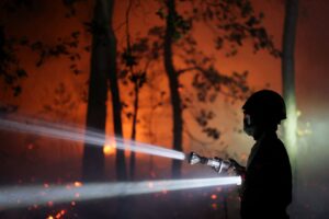 Incêndio Florestal Avança Próximo a Paris e Onda de Calor Extremo Atinge a Europa